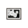 Picture of Pretty Lisianthus _GroupedProduct_Rectangle_Landscape_Framed_Matted_