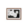 Picture of Pretty Lisianthus _GroupedProduct_Rectangle_Landscape_Framed_Matted_