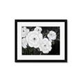 Picture of Pretty Lisianthus _GroupedProduct_Rectangle_Landscape_Framed_Matted_