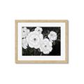 Picture of Pretty Lisianthus _GroupedProduct_Rectangle_Landscape_Framed_Matted_