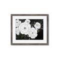 Picture of Pretty Lisianthus _GroupedProduct_Rectangle_Landscape_Framed_Matted_