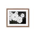 Picture of Pretty Lisianthus _GroupedProduct_Rectangle_Landscape_Framed_Matted_