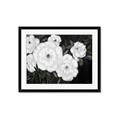 Picture of Pretty Lisianthus _GroupedProduct_Rectangle_Landscape_Framed_Matted_
