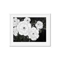 Picture of Pretty Lisianthus _GroupedProduct_Rectangle_Landscape_Framed_Matted_