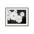 Picture of Pretty Lisianthus _GroupedProduct_Rectangle_Landscape_Framed_Matted_