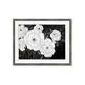 Picture of Pretty Lisianthus _GroupedProduct_Rectangle_Landscape_Framed_Matted_