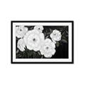Picture of Pretty Lisianthus _GroupedProduct_Rectangle_Landscape_Framed_Matted_