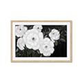 Picture of Pretty Lisianthus _GroupedProduct_Rectangle_Landscape_Framed_Matted_