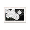 Picture of Pretty Lisianthus _GroupedProduct_Rectangle_Landscape_Framed_Matted_