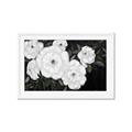 Picture of Pretty Lisianthus _GroupedProduct_Rectangle_Landscape_Framed_Matted_