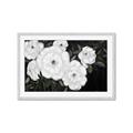 Picture of Pretty Lisianthus _GroupedProduct_Rectangle_Landscape_Framed_Matted_