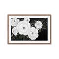 Picture of Pretty Lisianthus _GroupedProduct_Rectangle_Landscape_Framed_Matted_