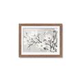 Picture of Magnolia Garden _GroupedProduct_Rectangle_Landscape_Framed_Matted_