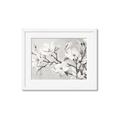 Picture of Magnolia Garden _GroupedProduct_Rectangle_Landscape_Framed_Matted_