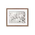 Picture of Magnolia Garden _GroupedProduct_Rectangle_Landscape_Framed_Matted_