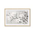 Picture of Magnolia Garden _GroupedProduct_Rectangle_Landscape_Framed_Matted_