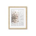 Picture of Beautiful Flower _GroupedProduct_Rectangle_Portrait_Framed_Matted_