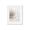 Picture of Beautiful Flower _GroupedProduct_Rectangle_Portrait_Framed_Matted_