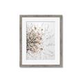 Picture of Beautiful Flower _GroupedProduct_Rectangle_Portrait_Framed_Matted_