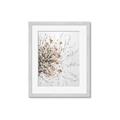 Picture of Beautiful Flower _GroupedProduct_Rectangle_Portrait_Framed_Matted_