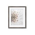 Picture of Beautiful Flower _GroupedProduct_Rectangle_Portrait_Framed_Matted_