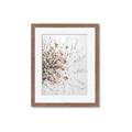 Picture of Beautiful Flower _GroupedProduct_Rectangle_Portrait_Framed_Matted_