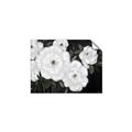 Picture of Pretty Lisianthus _GroupedProduct_Rectangle_Landscape_Unframed_Print_Only_