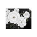 Picture of Pretty Lisianthus _GroupedProduct_Rectangle_Landscape_Unframed_Print_Only_