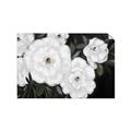 Picture of Pretty Lisianthus _GroupedProduct_Rectangle_Landscape_Unframed_Print_Only_