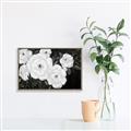 Picture of Pretty Lisianthus _GroupedProduct_Rectangle_Landscape_Canvas_Framed_