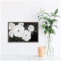 Picture of Pretty Lisianthus _GroupedProduct_Rectangle_Landscape_Canvas_Framed_