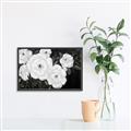 Picture of Pretty Lisianthus _GroupedProduct_Rectangle_Landscape_Canvas_Framed_