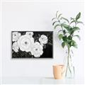 Picture of Pretty Lisianthus _GroupedProduct_Rectangle_Landscape_Canvas_Framed_