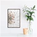 Picture of Beautiful Flower _GroupedProduct_Rectangle_Portrait_Canvas_Framed_