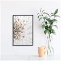 Picture of Beautiful Flower _GroupedProduct_Rectangle_Portrait_Canvas_Framed_