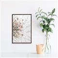 Picture of Beautiful Flower _GroupedProduct_Rectangle_Portrait_Canvas_Framed_