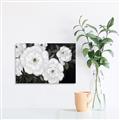 Picture of Pretty Lisianthus _GroupedProduct_Rectangle_Landscape_Unframed_Print_Only_