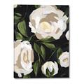 Picture of White Buttercups  _GroupedProduct_Rectangle_Portrait_Canvas_