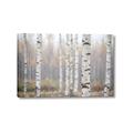 Picture of Birch forest in fog II _GroupedProduct_Rectangle_Landscape_Photography _GroupedProduct_Rectangle_Landscape_Canvas_