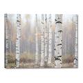 Picture of Birch forest in fog II _GroupedProduct_Rectangle_Landscape_Photography _GroupedProduct_Rectangle_Landscape_Canvas_