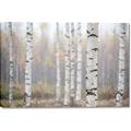 Picture of Birch forest in fog II _GroupedProduct_Rectangle_Landscape_Photography _GroupedProduct_Rectangle_Landscape_Canvas_