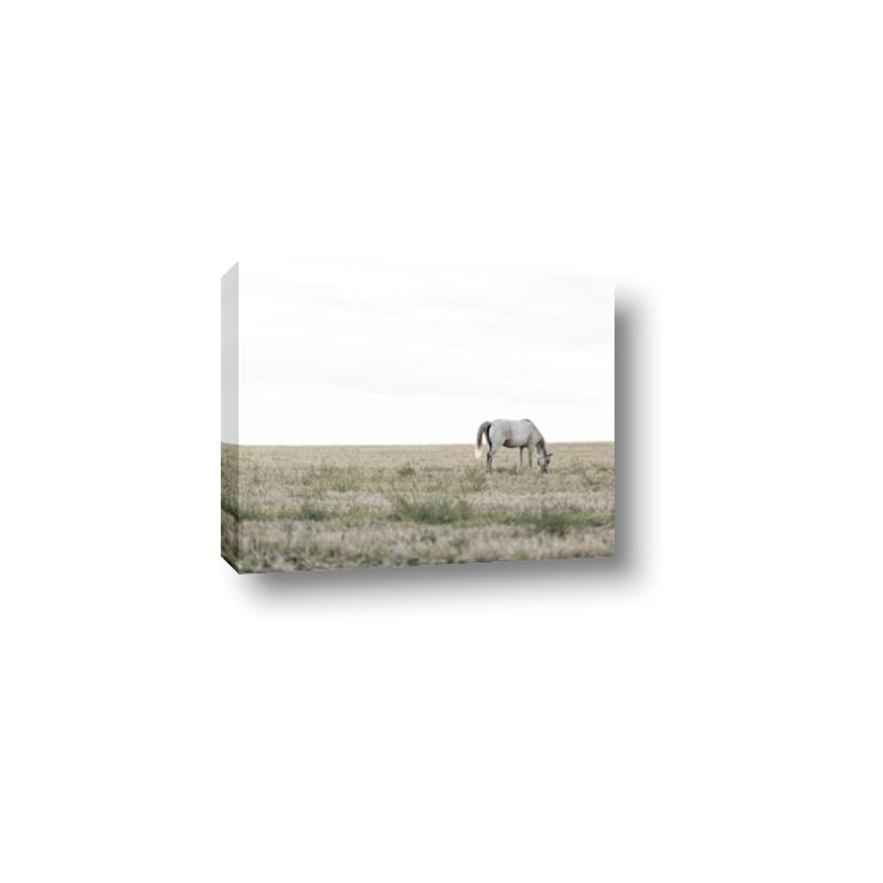 Picture of Midmorning Break  _GroupedProduct_Rectangle_Landscape_Photography _GroupedProduct_Rectangle_Landscape_Canvas_