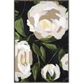 Picture of White Buttercups  _GroupedProduct_Rectangle_Portrait_Canvas_Framed_