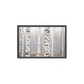 Picture of Birch forest in fog I _GroupedProduct_Rectangle_Landscape_Photography _GroupedProduct_Rectangle_Landscape_Canvas_Framed_