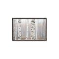 Picture of Birch forest in fog I _GroupedProduct_Rectangle_Landscape_Photography _GroupedProduct_Rectangle_Landscape_Canvas_Framed_