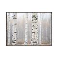 Picture of Birch forest in fog I _GroupedProduct_Rectangle_Landscape_Photography _GroupedProduct_Rectangle_Landscape_Canvas_Framed_