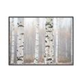 Picture of Birch forest in fog I _GroupedProduct_Rectangle_Landscape_Photography _GroupedProduct_Rectangle_Landscape_Canvas_Framed_