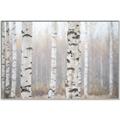 Picture of Birch forest in fog I _GroupedProduct_Rectangle_Landscape_Photography _GroupedProduct_Rectangle_Landscape_Canvas_Framed_
