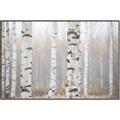 Picture of Birch forest in fog I _GroupedProduct_Rectangle_Landscape_Photography _GroupedProduct_Rectangle_Landscape_Canvas_Framed_