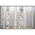Picture of Birch forest in fog I _GroupedProduct_Rectangle_Landscape_Photography _GroupedProduct_Rectangle_Landscape_Canvas_Framed_